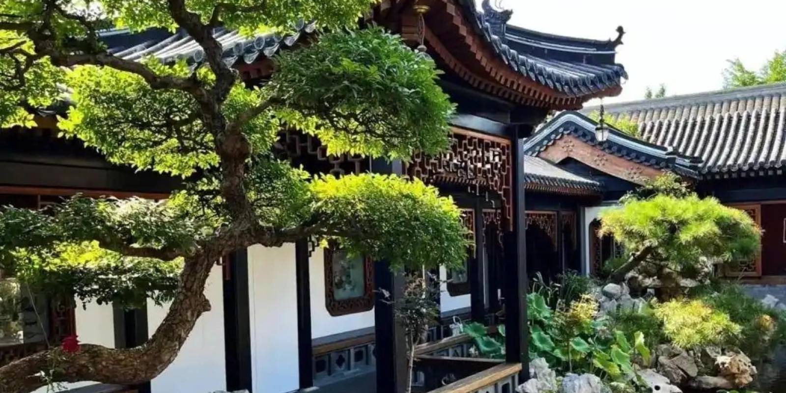 英雄联盟总决赛赛场灯光与观众席
